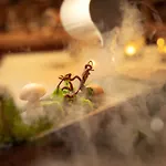 Ξενοδοχείο Salzano - - Restaurant 3*