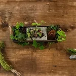 Salzano - - Restaurant Ξενοδοχείο 3*