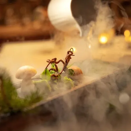 فندق سالزانو - سبا - ريستورانت 3*