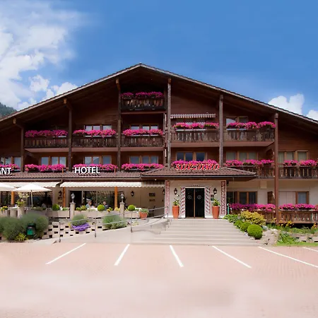 Salzano - - Restaurant