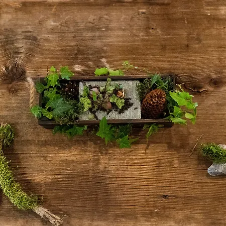 سالزانو - سبا - ريستورانت فندق 3*