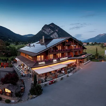 Salzano - - Restaurant