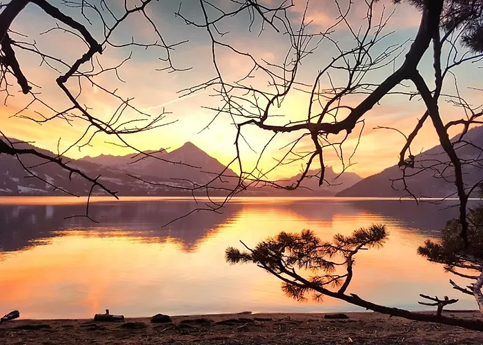 Salzano - - Restaurant