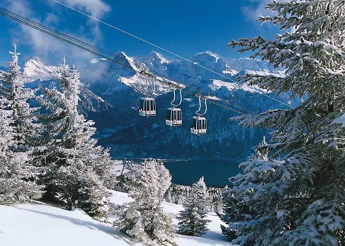 Salzano - - Restaurant 3*