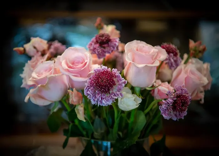 Hotel Salzano - - Restaurant