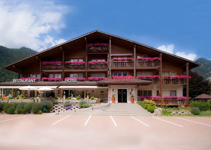 Salzano - - Restaurant