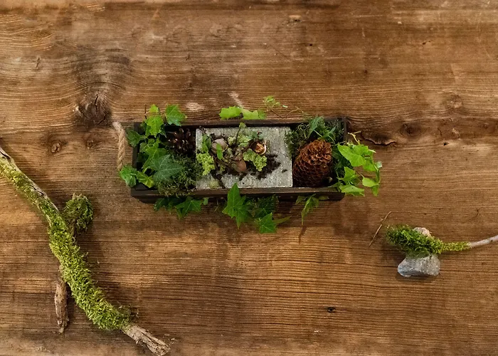 Salzano - - Restaurant Szálloda 3*