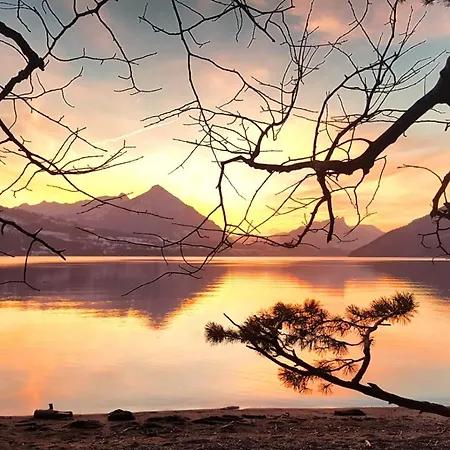 Salzano - - Restaurant