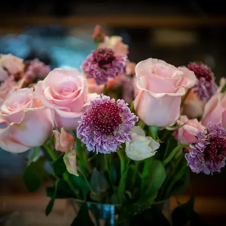 Hotel Salzano - - Restaurant